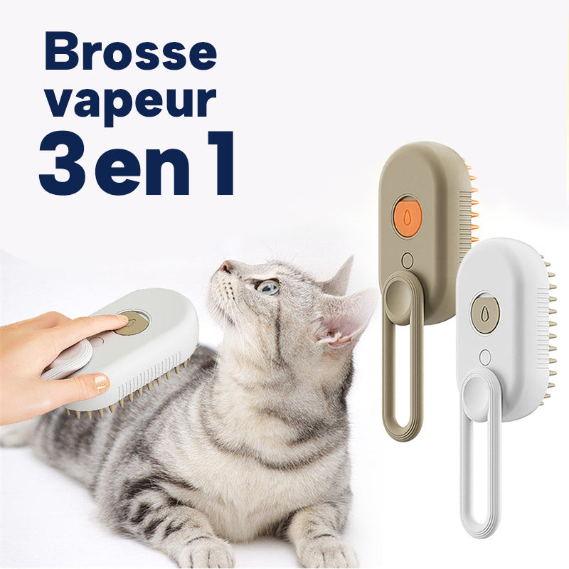 Brosse Vapeur 3 en 1 pour Chien et Chat